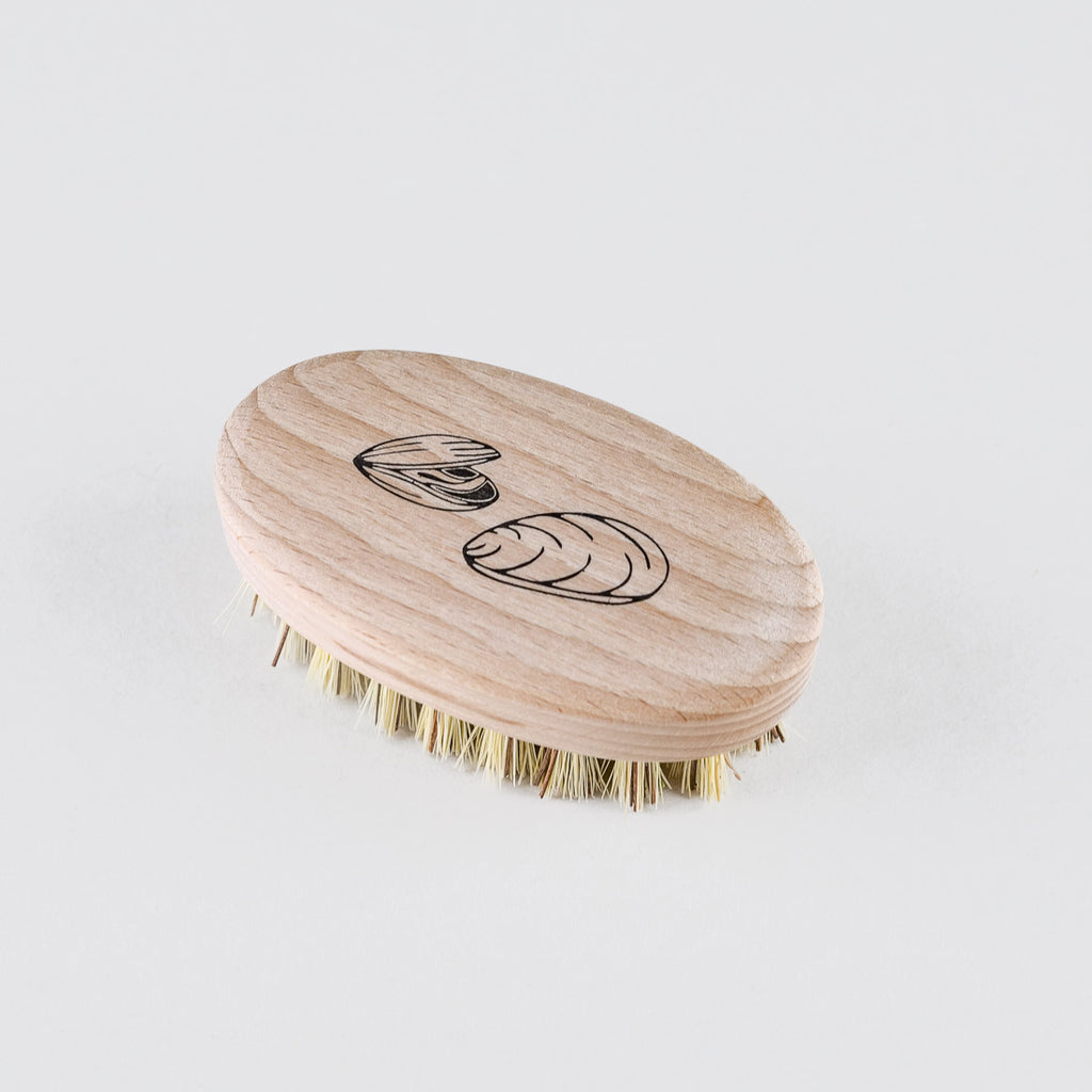 Brosse pour coquillages