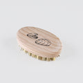 Brosse pour coquillages