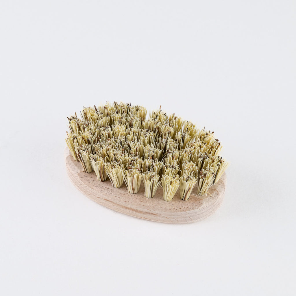 Brosse pour coquillages