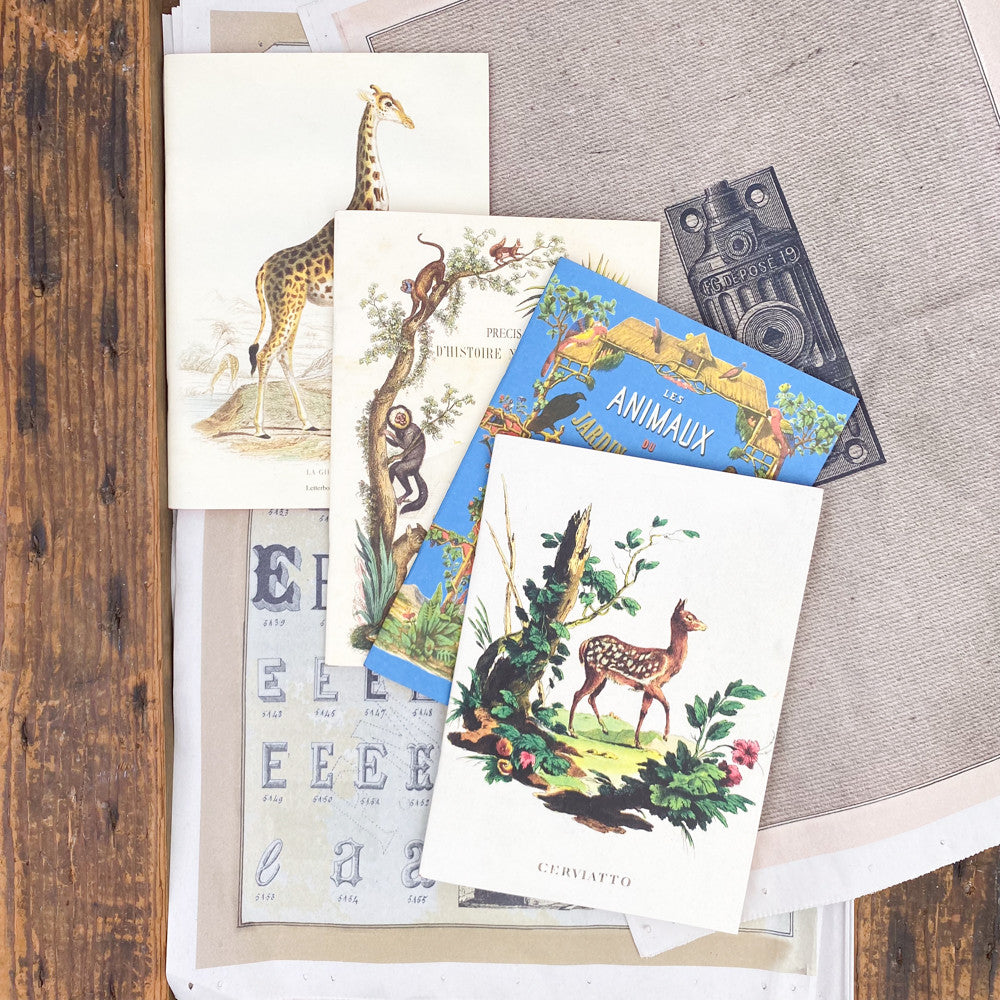 Cahier Planche d'histoire naturelle