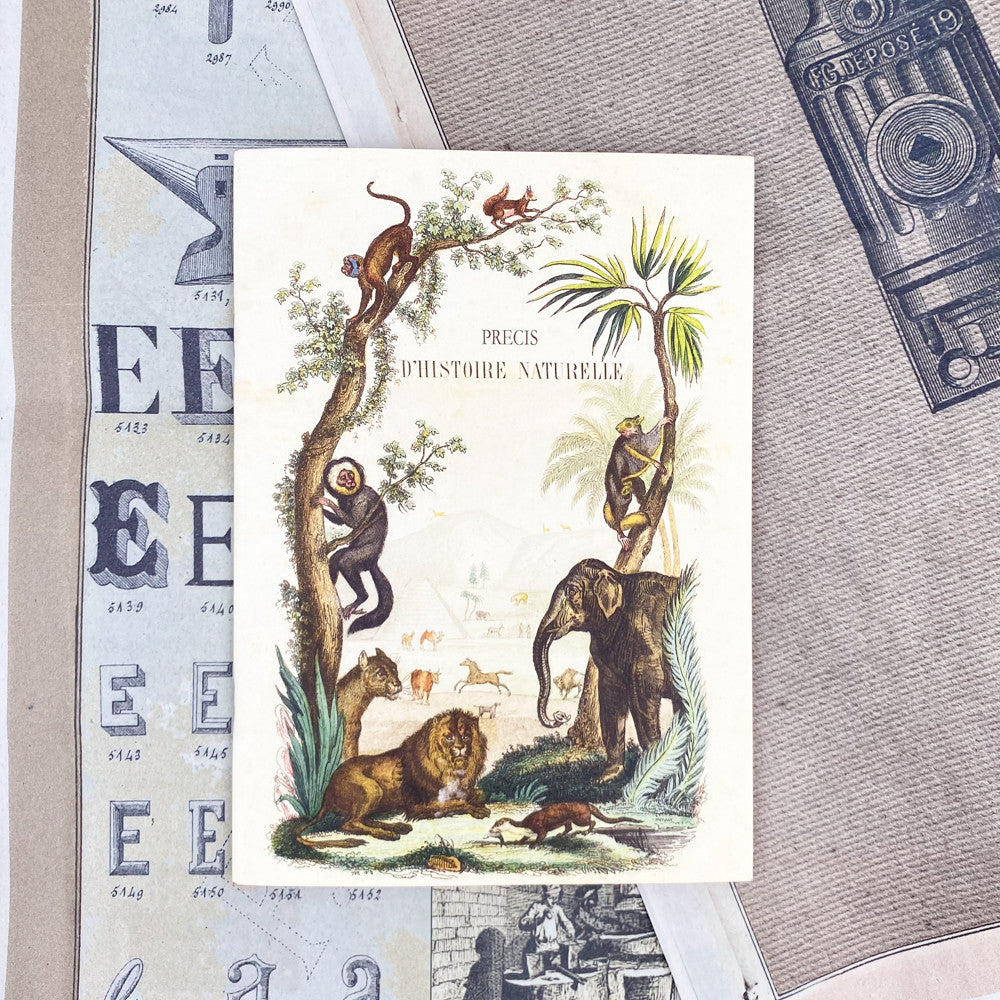 Cahier Planche d'histoire naturelle