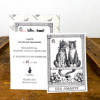 Cartes de tarot chat