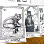 Cartes de tarot chat