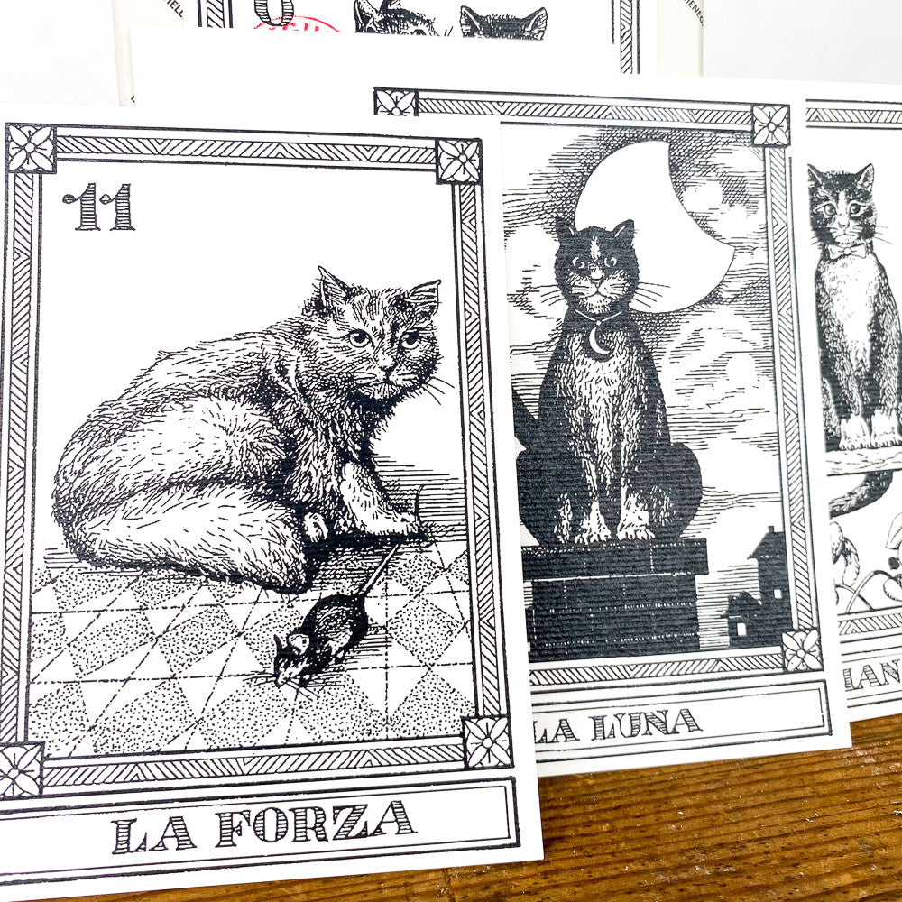 Cartes de tarot chat