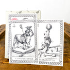 Cartes de tarot chien
