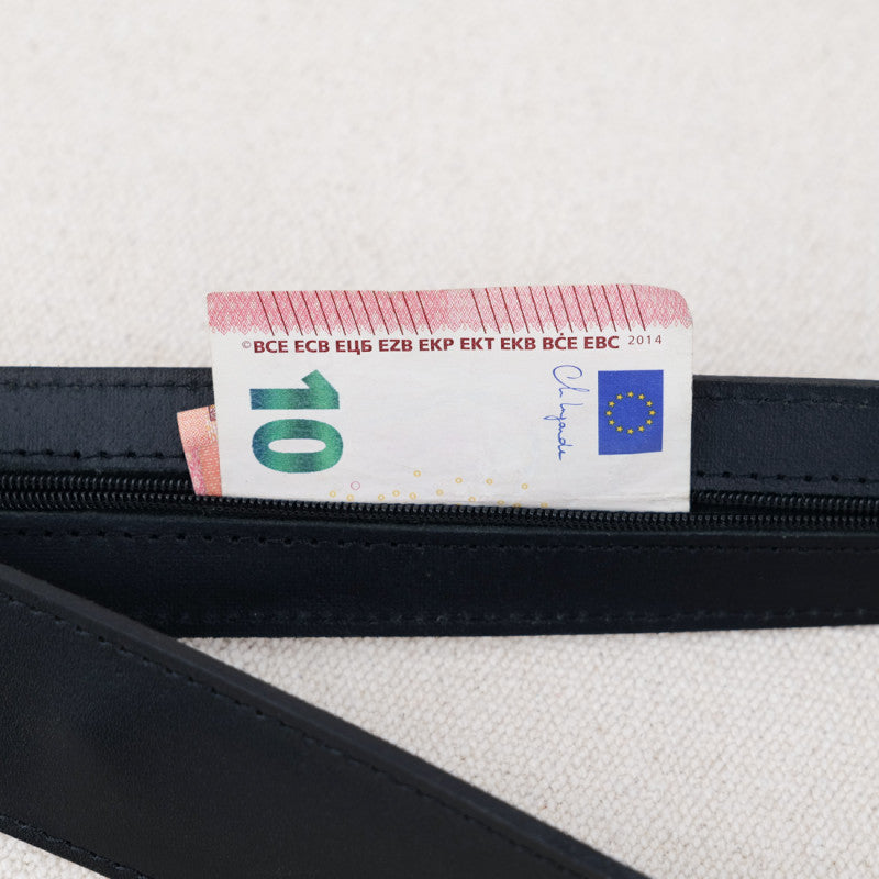 Travel belt with ticket cover