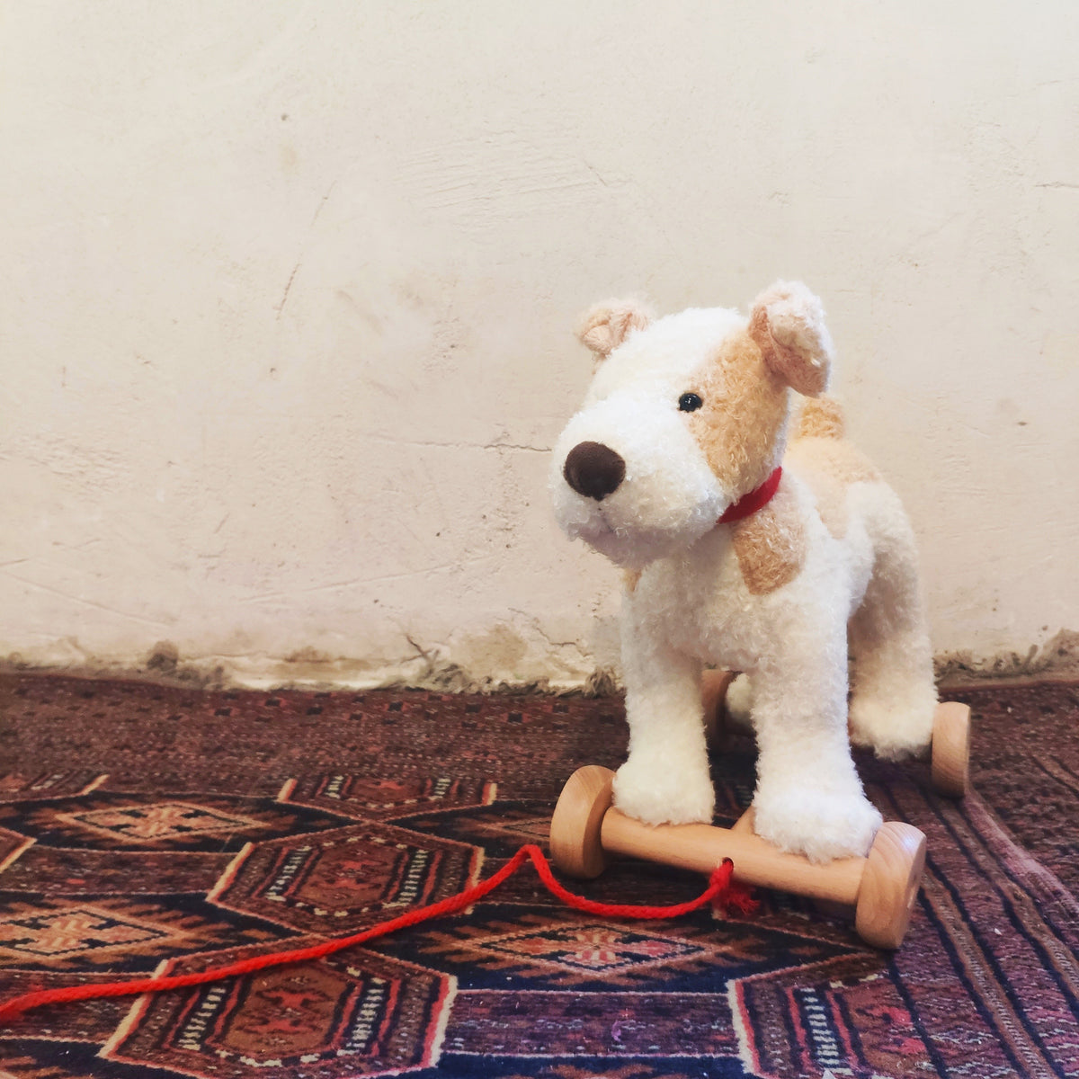 Chien à tirer