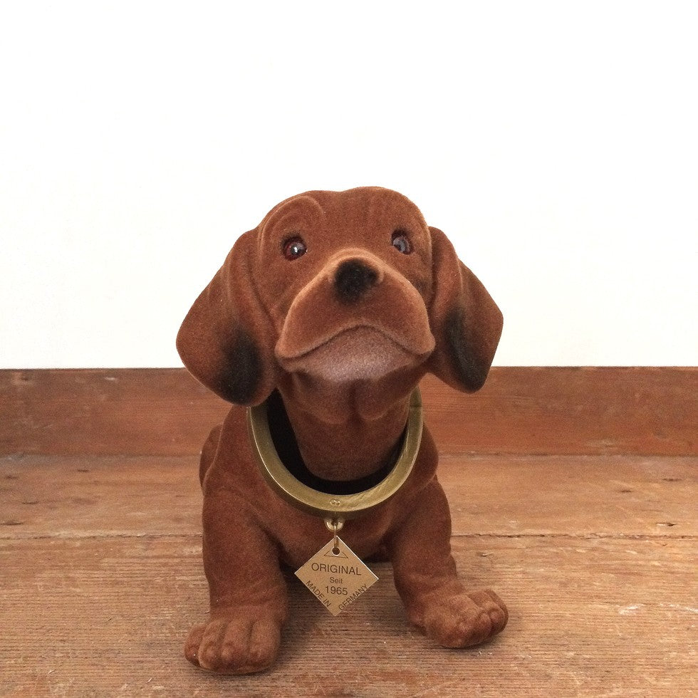 Chien qui bouge la tête
