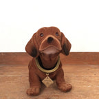 Chien qui bouge la tête