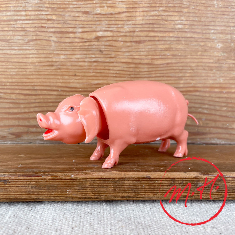 Cochon qui hoche la tête