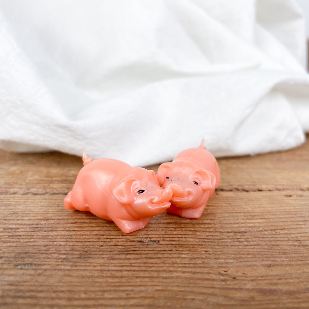 Bisous cochon magnétiques
