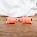 Cochons amoureux magnétiques