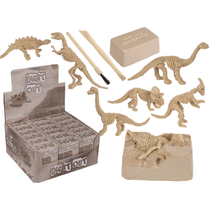 Coffret de paléontologie