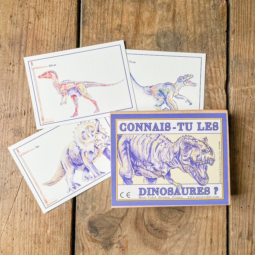Connais-tu les dinosaures ?