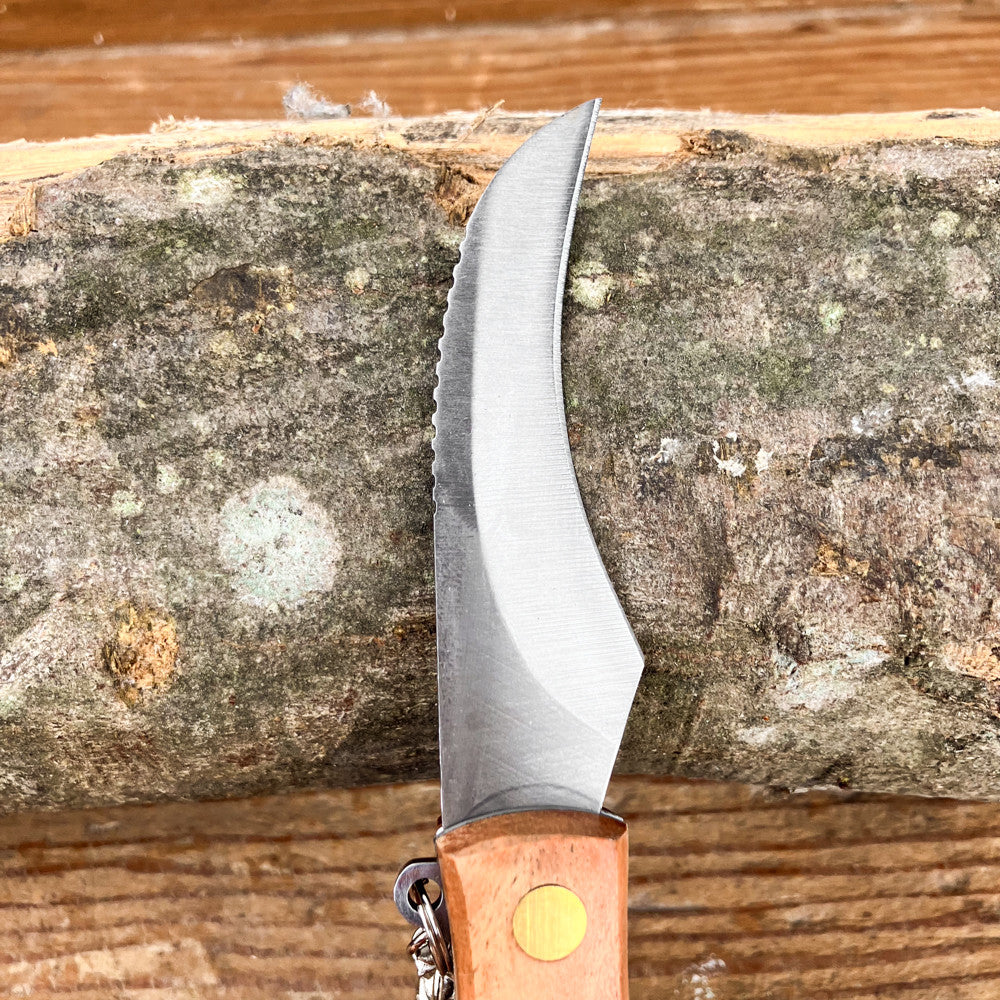 Couteau de poche à champignons