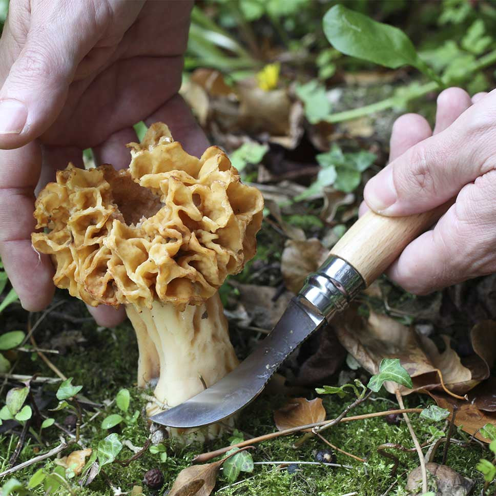 opinel à champignon