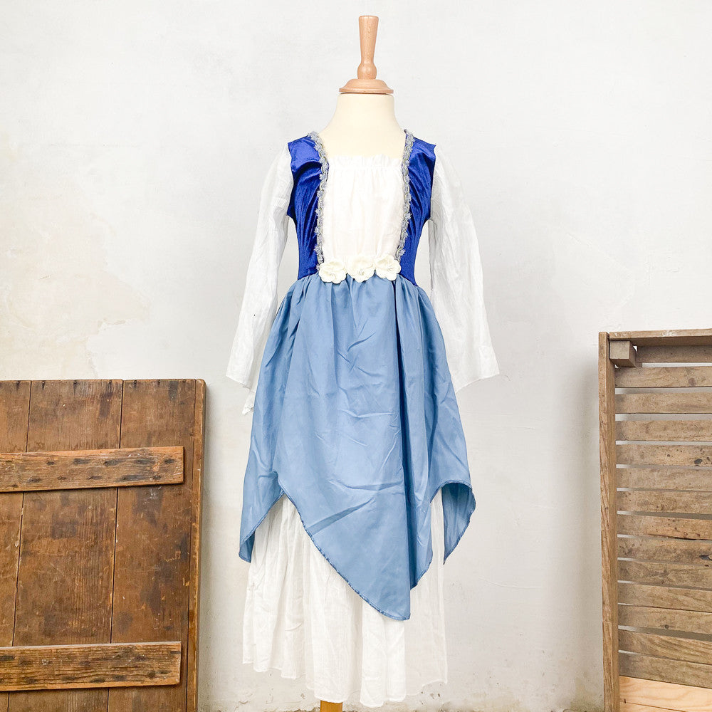 Déguisement robe de princesse bleue