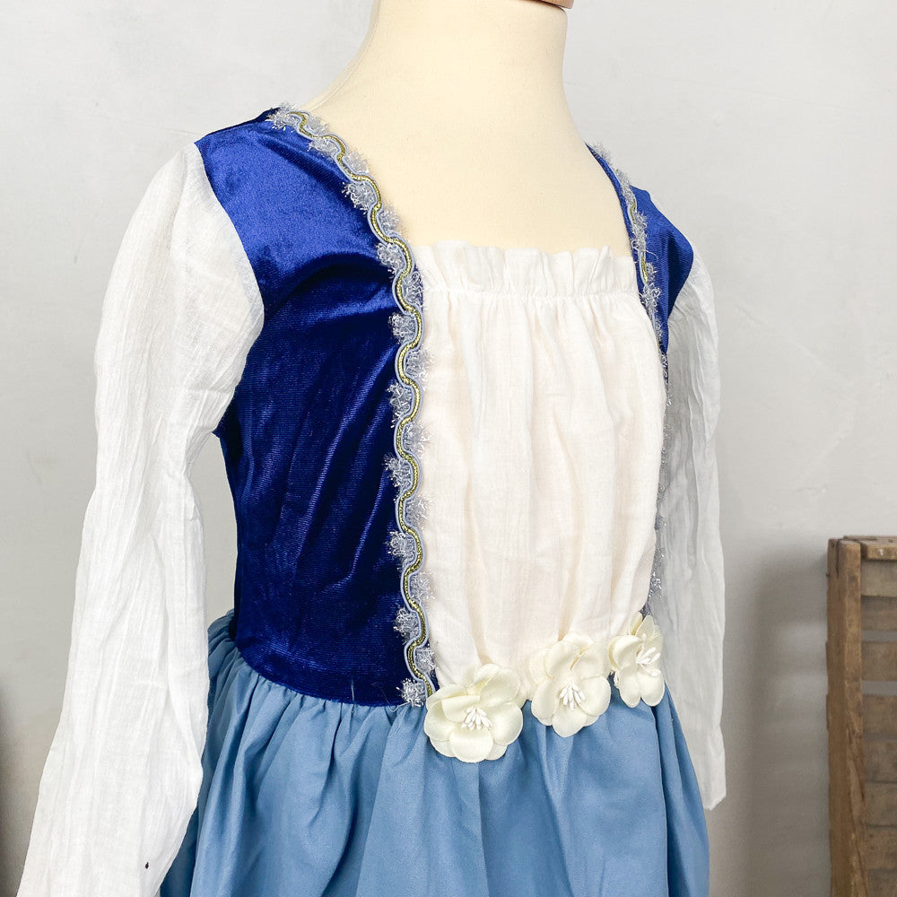 Déguisement robe de princesse bleue