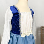 Déguisement robe de princesse bleue