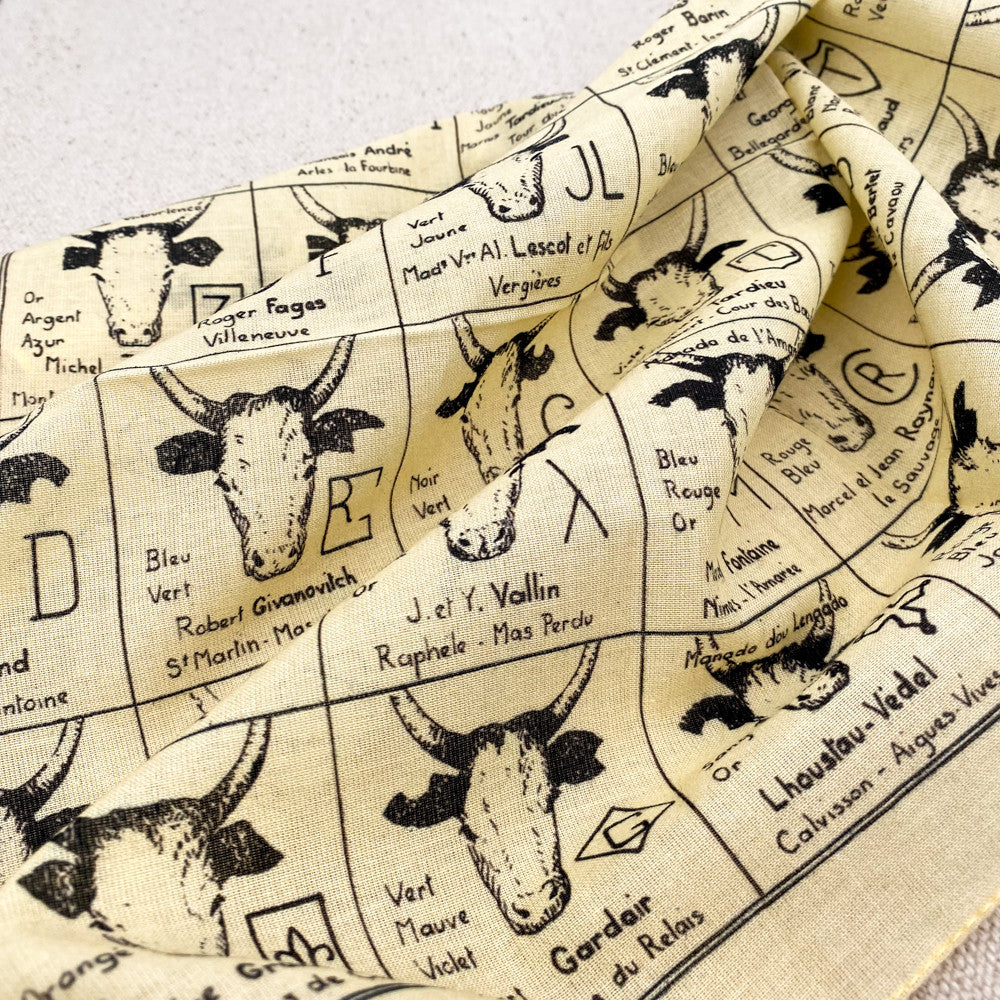 Foulard des manades