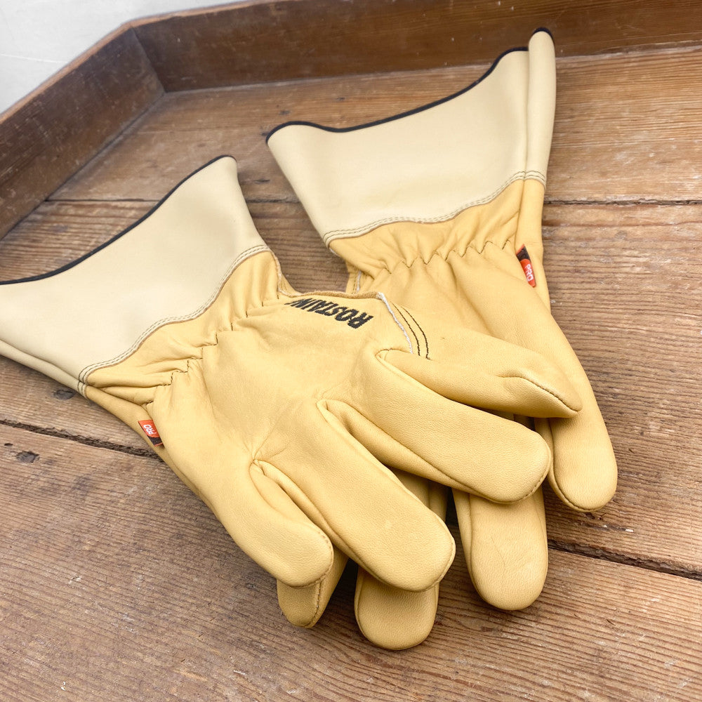 Gants longs de rosiériste