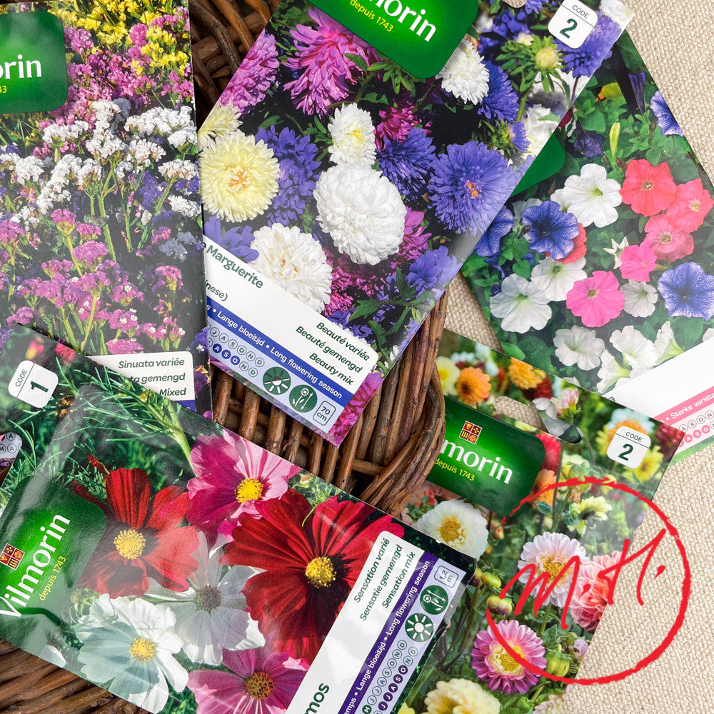 Graines de fleurs colorées