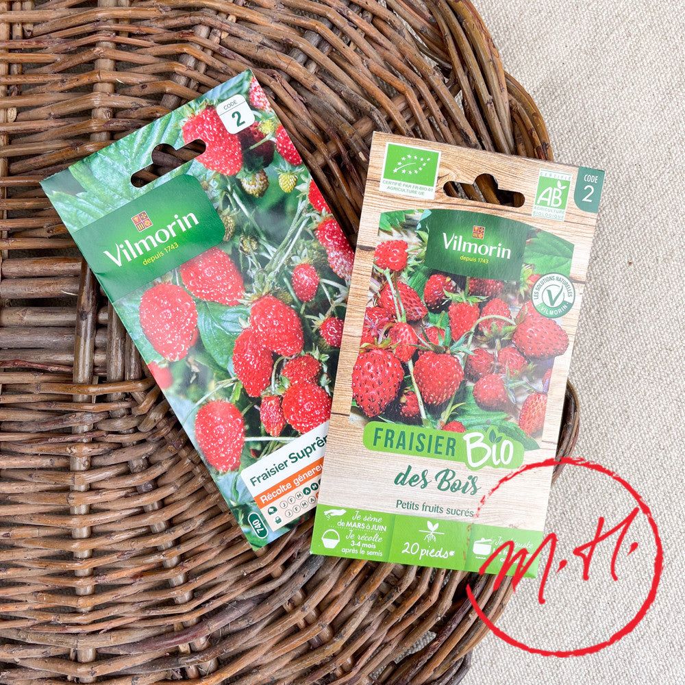 Graines de Fraisier