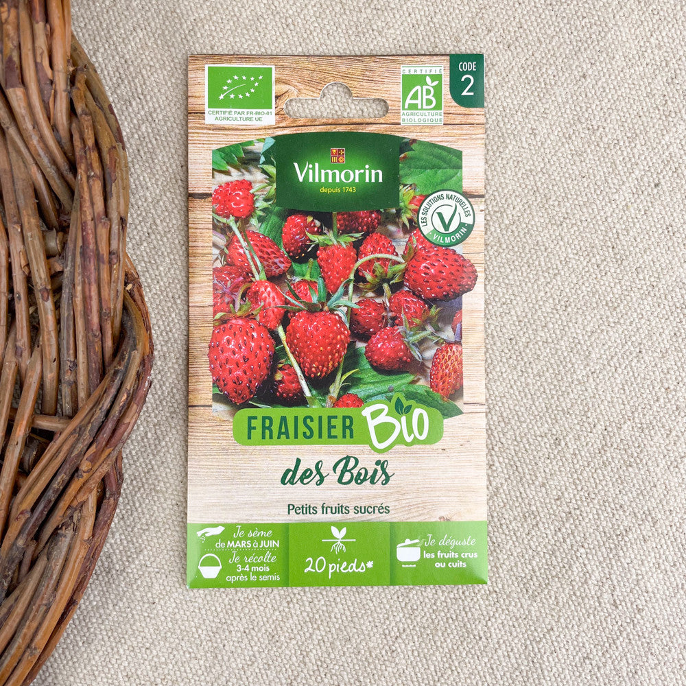 Graines de Fraisier bio