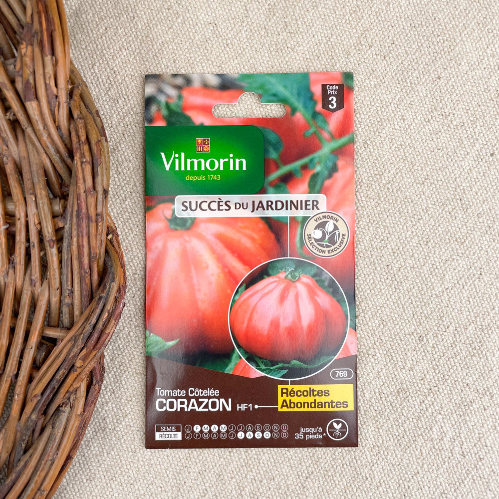 Graines de tomates