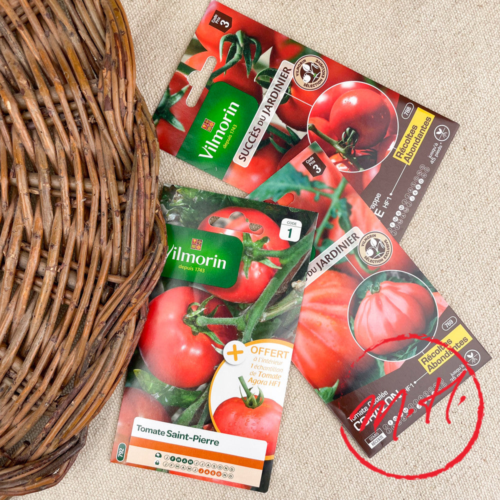 Graines de tomates