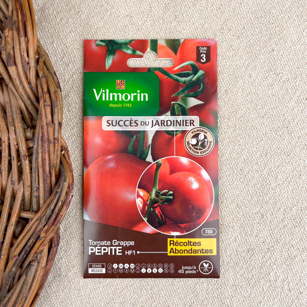 Graines de tomates