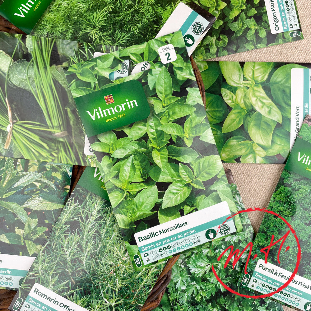 Graines plantes aromatiques