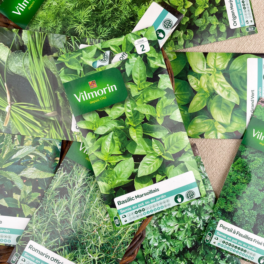 Graines plantes aromatiques