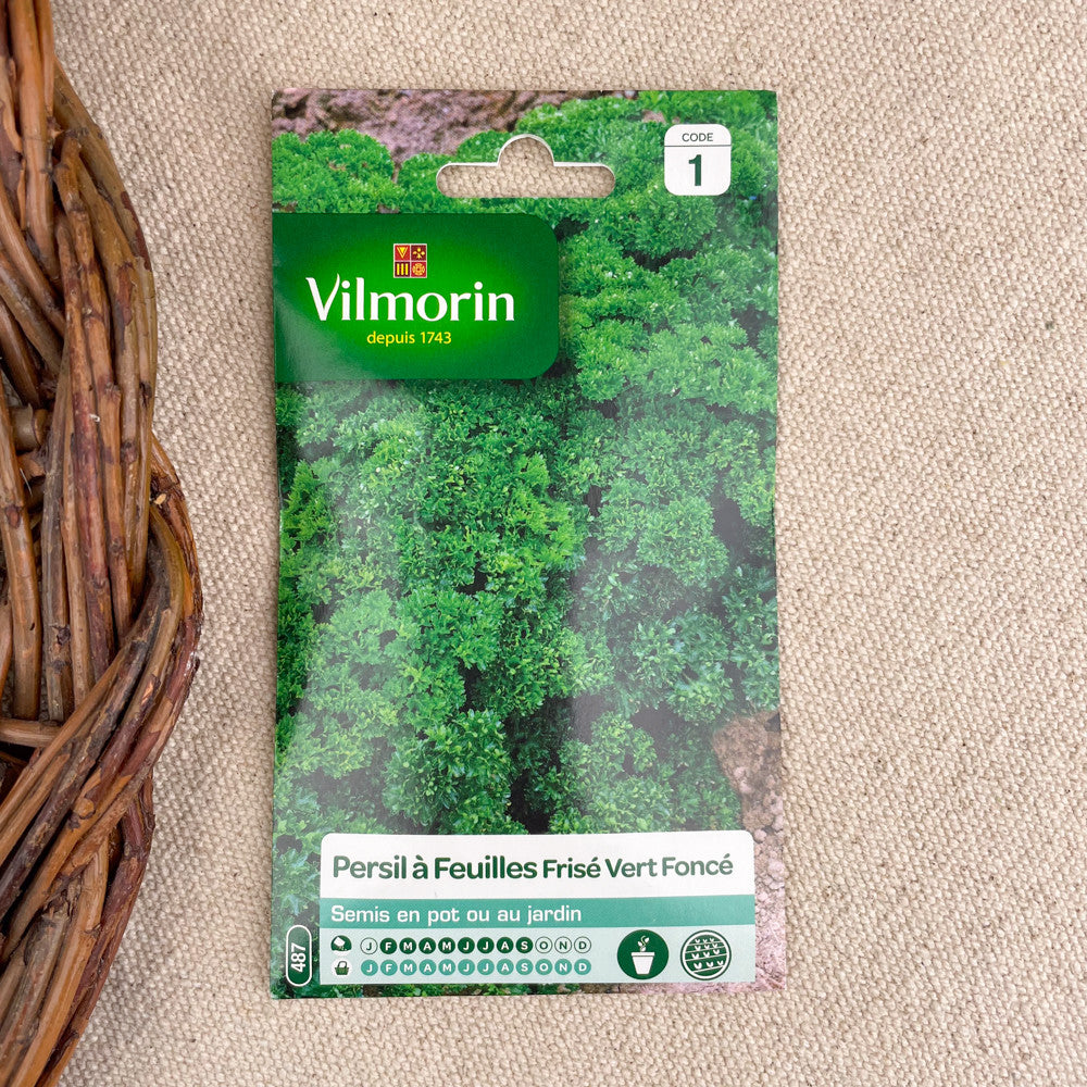 Graines plantes aromatiques