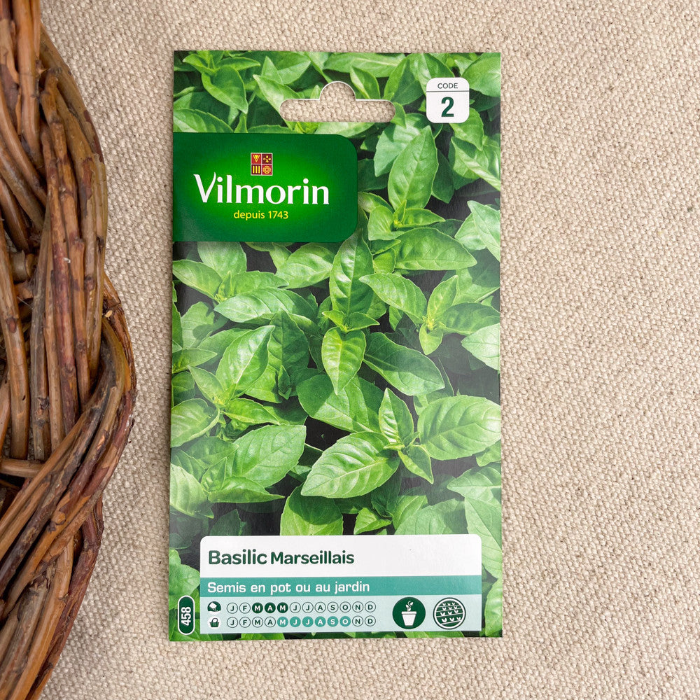 Graines plantes aromatiques