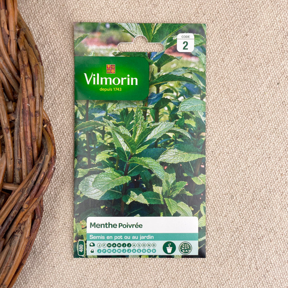 Graines plantes aromatiques