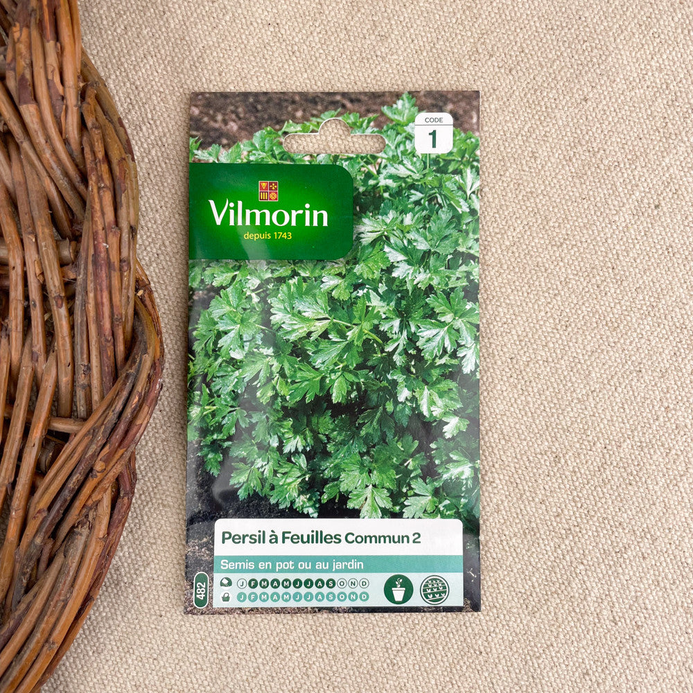Graines plantes aromatiques