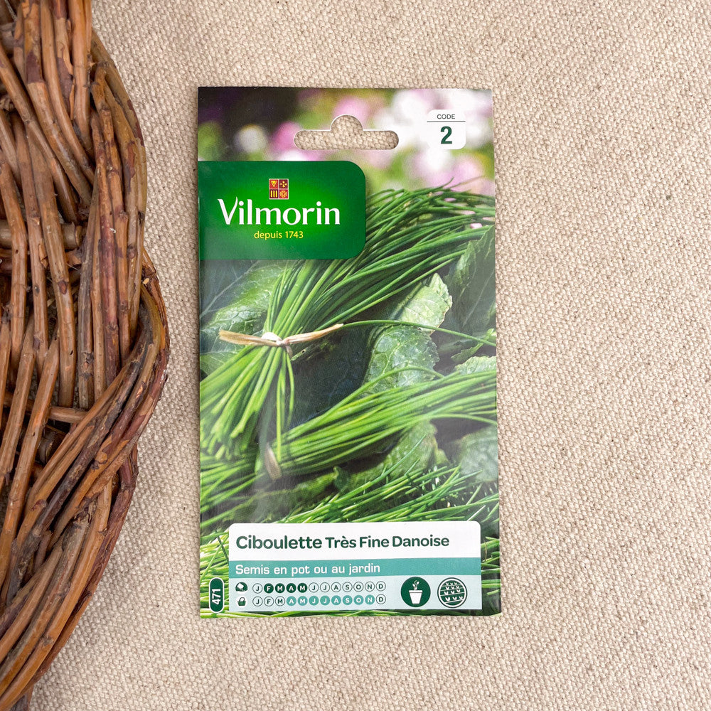 Graines plantes aromatiques