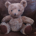Ours brun Martin