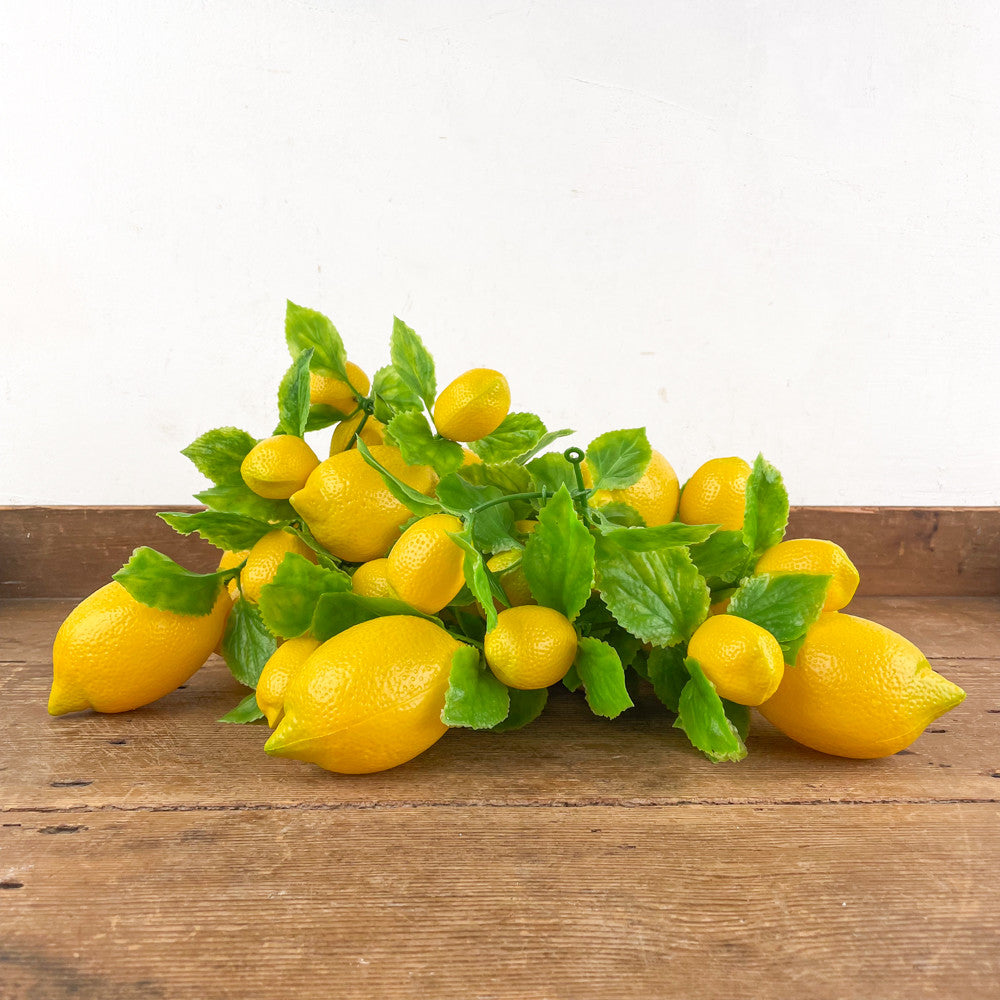 Guirlande de citrons
