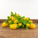 Guirlande de citrons