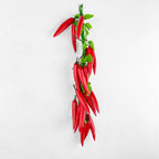 Guirlande de piments rouges