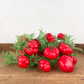 Guirlande de tomates plastique