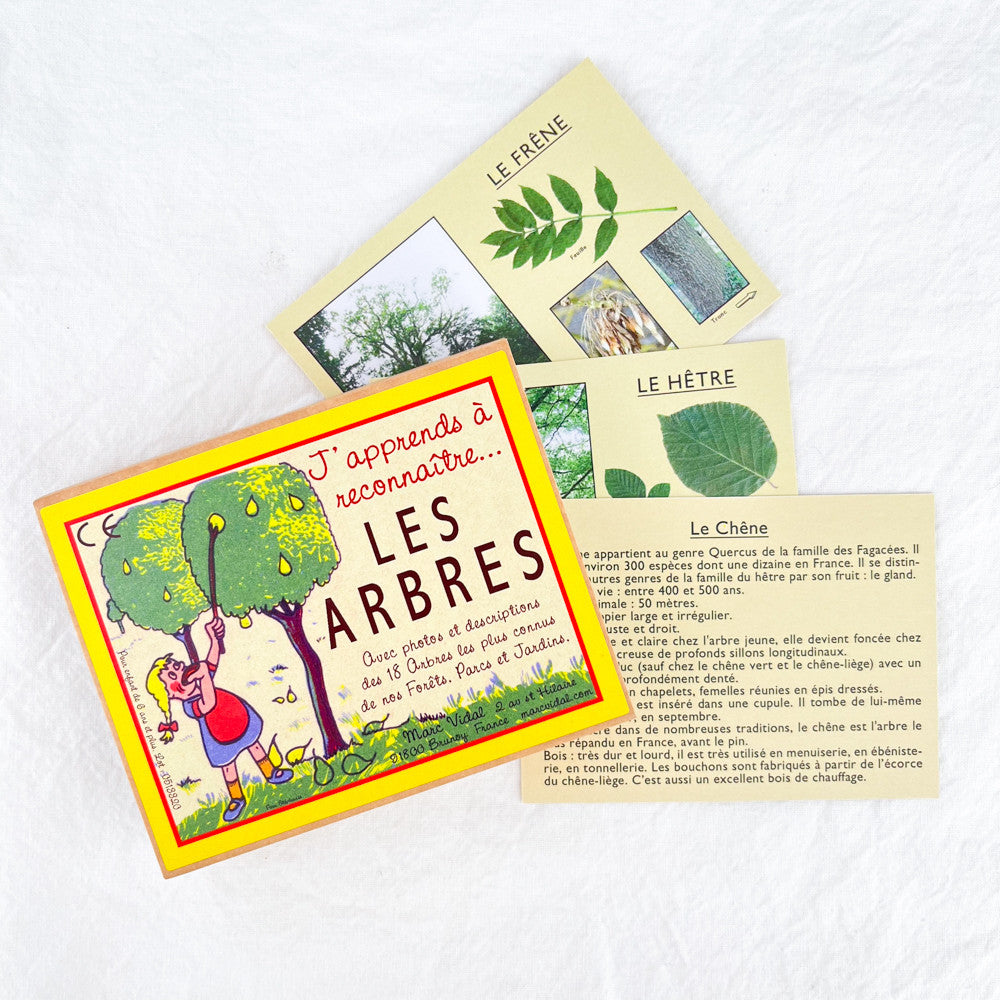 J'apprends à reconnaître les arbres