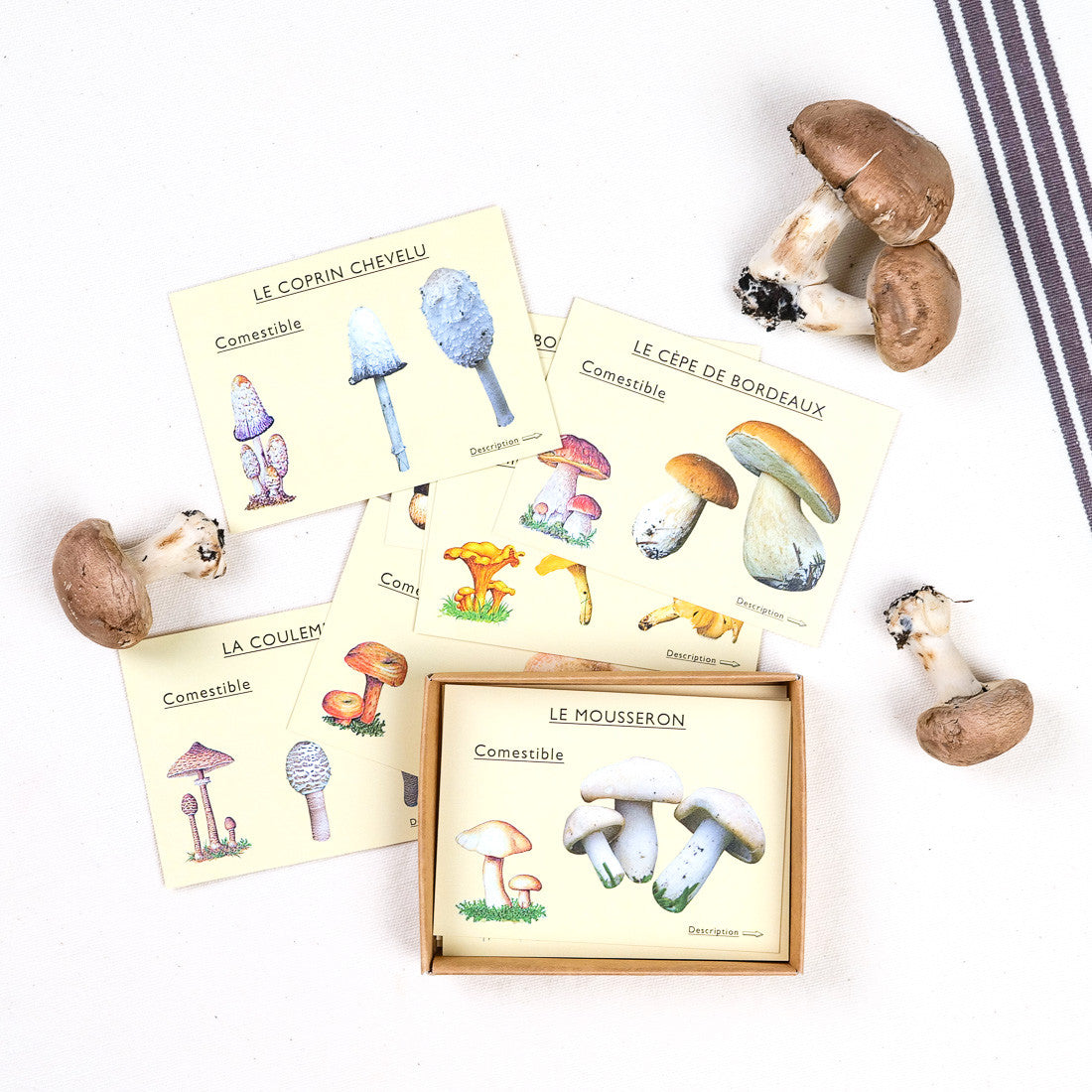 J'apprends à reconnaître les champignons