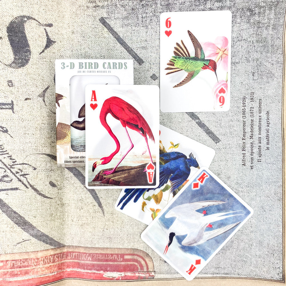 Jeu 54 cartes 3D oiseaux