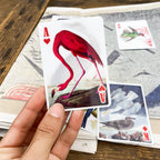 Jeu 54 cartes 3D oiseaux