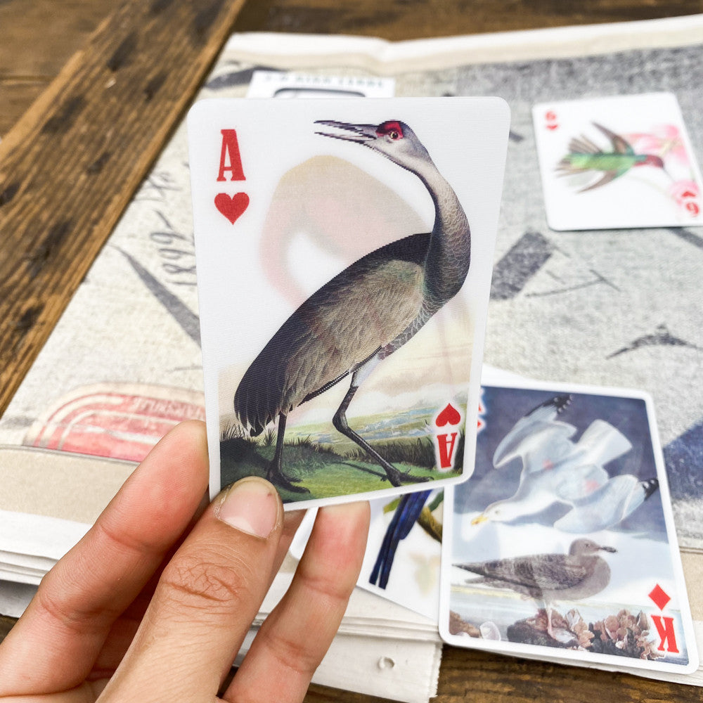 Jeu 54 cartes 3D oiseaux