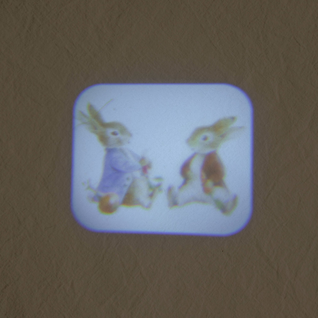 Lampe projecteur d'histoires d'animaux