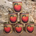 Mélange d'épices pour jus de pomme chaud